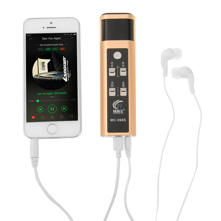 Stylish Microphone with Audio Cables & Charging Cable & Headphone for iPhone & Android Smart Phone(Gold)