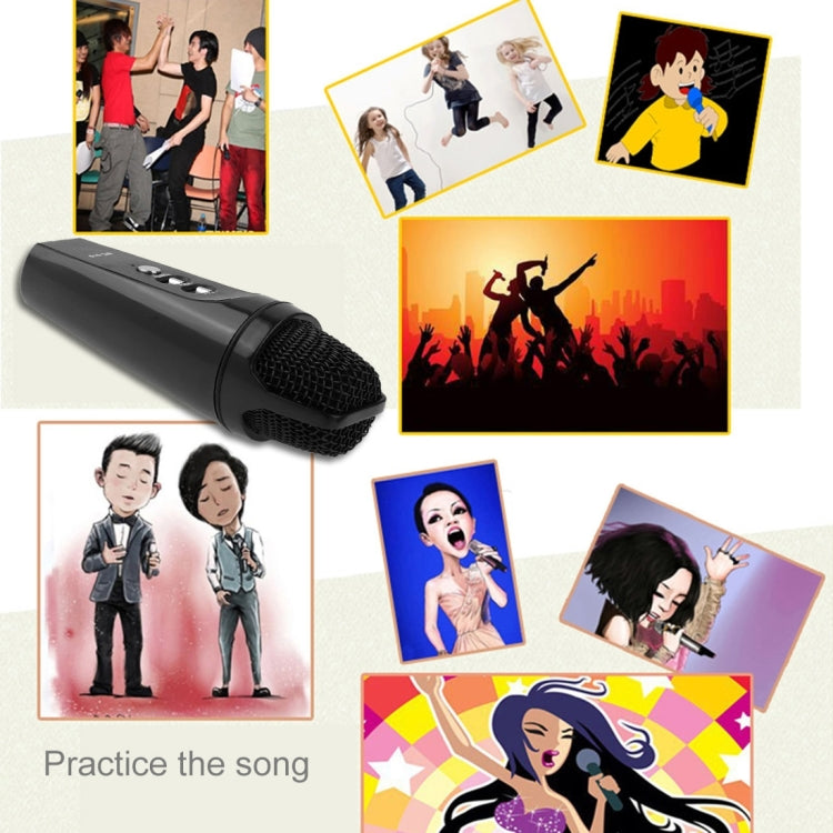 Stylish Microphone with Audio Cables & Charging Cable & Headphone for iPhone & Android Smart Phone(Black)