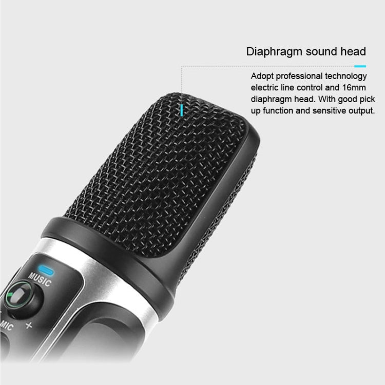 RODD Warrior USB ECHO Sound Recording Condenser Microphone with Holder, Compatible with PC / Mac for Live Broadcast Show, KTV, etc.(Blue)