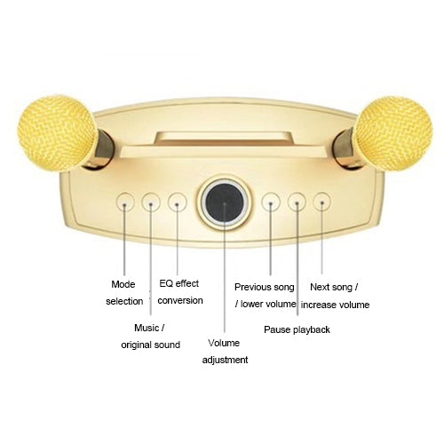 SD-306 2 in 1 Family KTV Portable Wireless Live Dual Microphone + Bluetooth Speaker