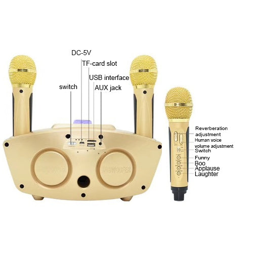 SD-306 2 in 1 Family KTV Portable Wireless Live Dual Microphone + Bluetooth Speaker