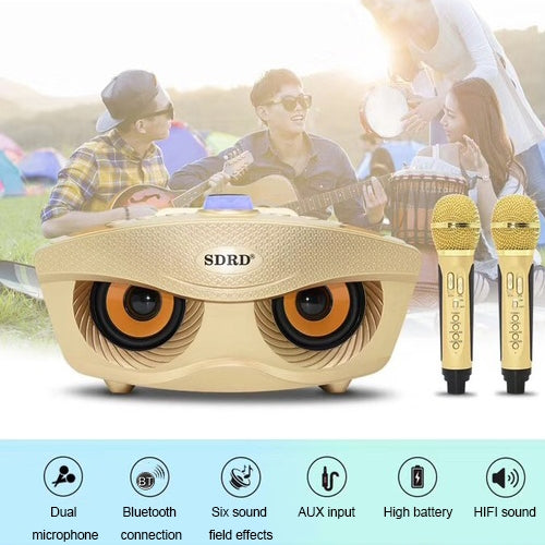 SD-306 2 in 1 Family KTV Portable Wireless Live Dual Microphone + Bluetooth Speaker