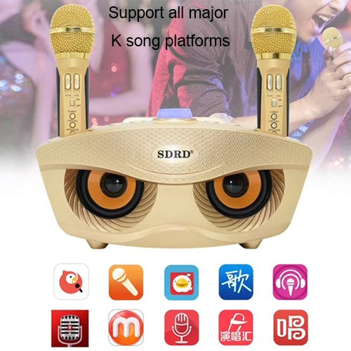 SD-306 2 in 1 Family KTV Portable Wireless Live Dual Microphone + Bluetooth Speaker