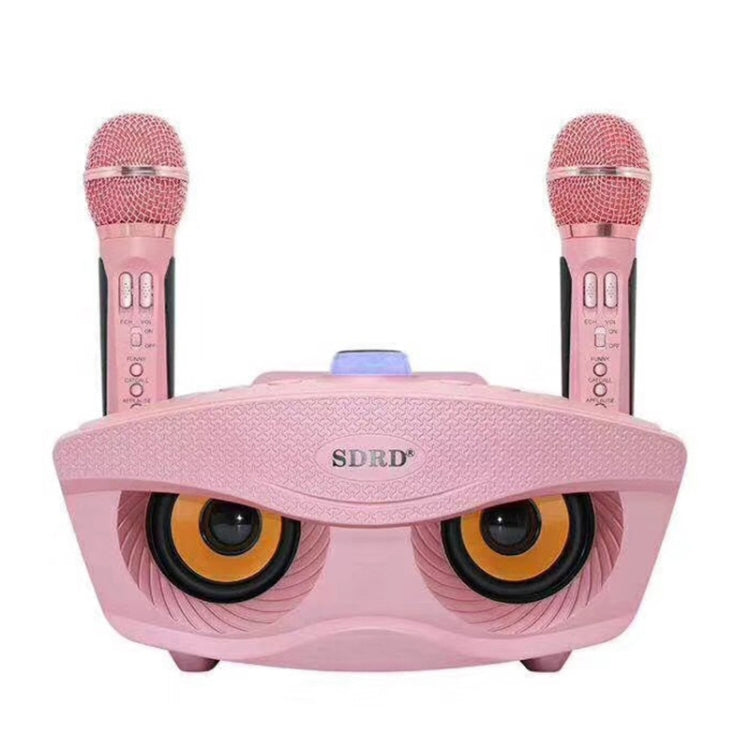 SD-306 2 in 1 Family KTV Portable Wireless Live Dual Microphone + Bluetooth Speaker
