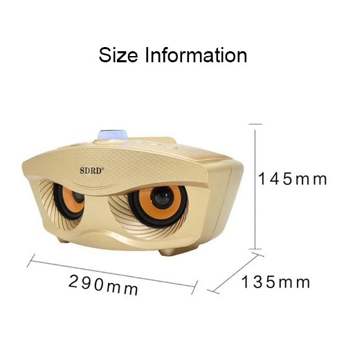 SD-306 2 in 1 Family KTV Portable Wireless Live Dual Microphone + Bluetooth Speaker