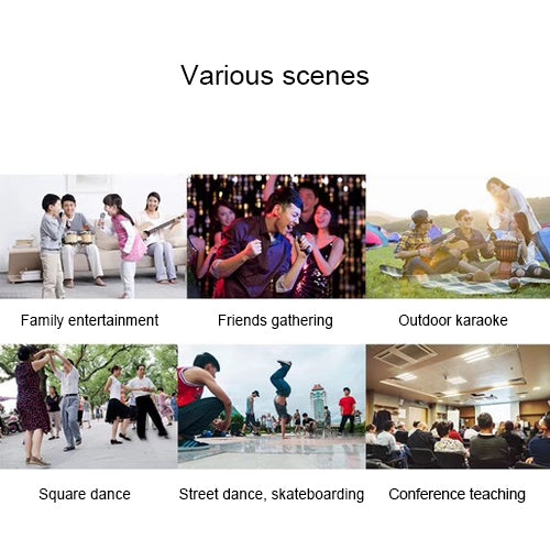 SD-306 2 in 1 Family KTV Portable Wireless Live Dual Microphone + Bluetooth Speaker