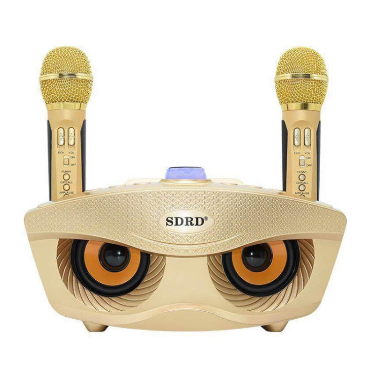 SD-306 2 in 1 Family KTV Portable Wireless Live Dual Microphone + Bluetooth Speaker