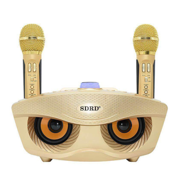 SD-306 2 in 1 Family KTV Portable Wireless Live Dual Microphone + Bluetooth Speaker