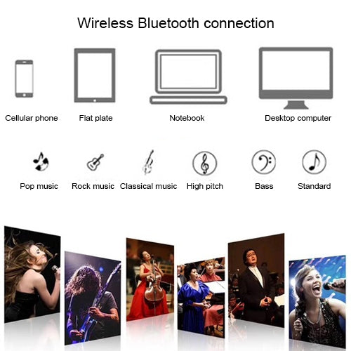 SD-306 2 in 1 Family KTV Portable Wireless Live Dual Microphone + Bluetooth Speaker