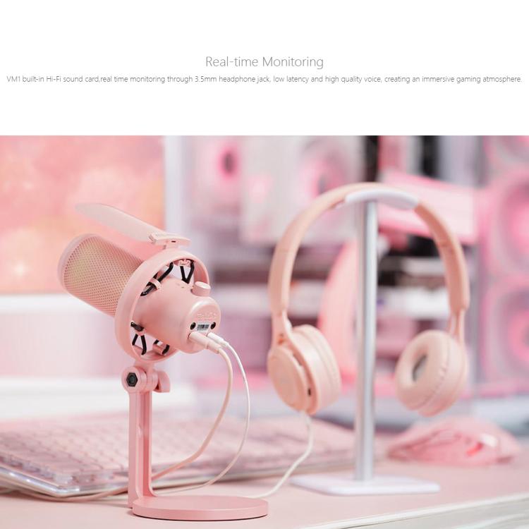 FEELWORLD VM1-XS USB Condenser Gaming Microphone for Streaming Noise Cancellation Mute RGB Light Desktop Stand