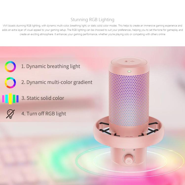 FEELWORLD VM1-XS USB Condenser Gaming Microphone for Streaming Noise Cancellation Mute RGB Light Desktop Stand