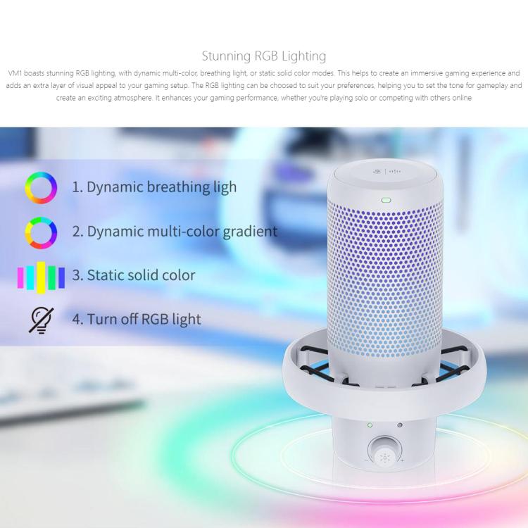 FEELWORLD VM1-XS USB Condenser Gaming Microphone for Streaming Noise Cancellation Mute RGB Light Desktop Stand