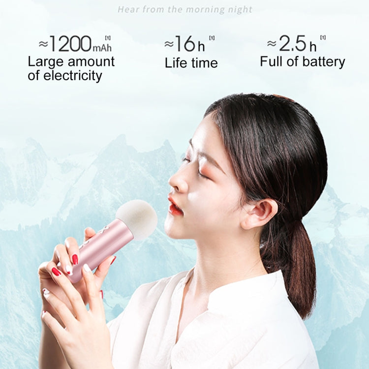 JR-K1 Live Broadcast Capacitive High Sensitive Wired Microphone with Interesting Accents, Compatible with PC / Mac for Live Broadcast Show, KTV, etc.