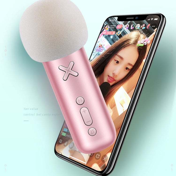 JR-K1 Live Broadcast Capacitive High Sensitive Wired Microphone with Interesting Accents, Compatible with PC / Mac for Live Broadcast Show, KTV, etc.