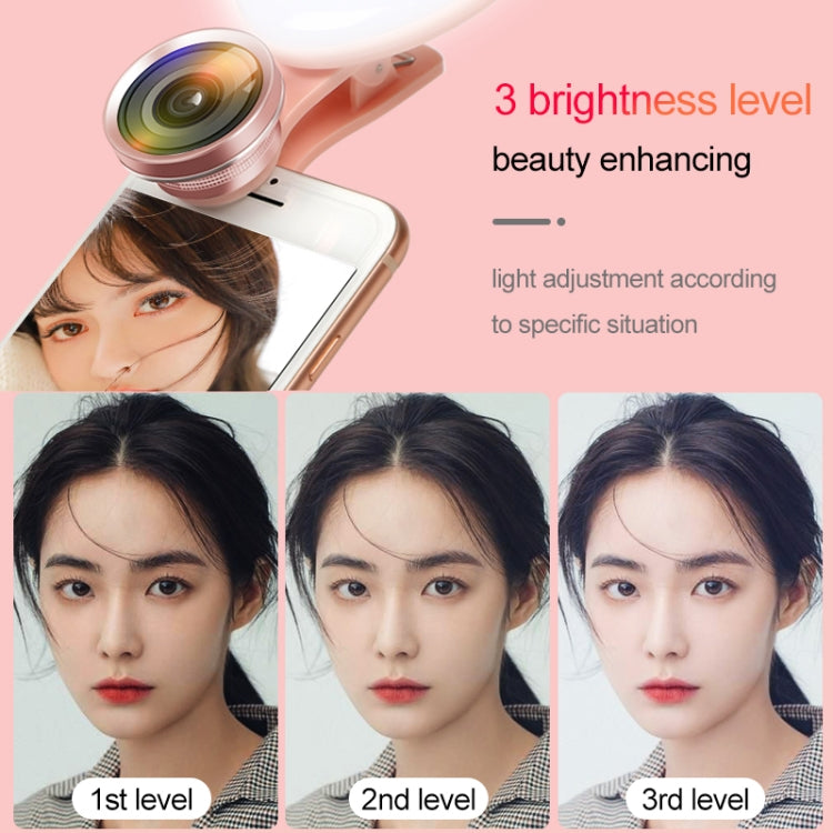 RK47 Portable Tri-color Adjustable Brightness Heart-shaped Fill Light