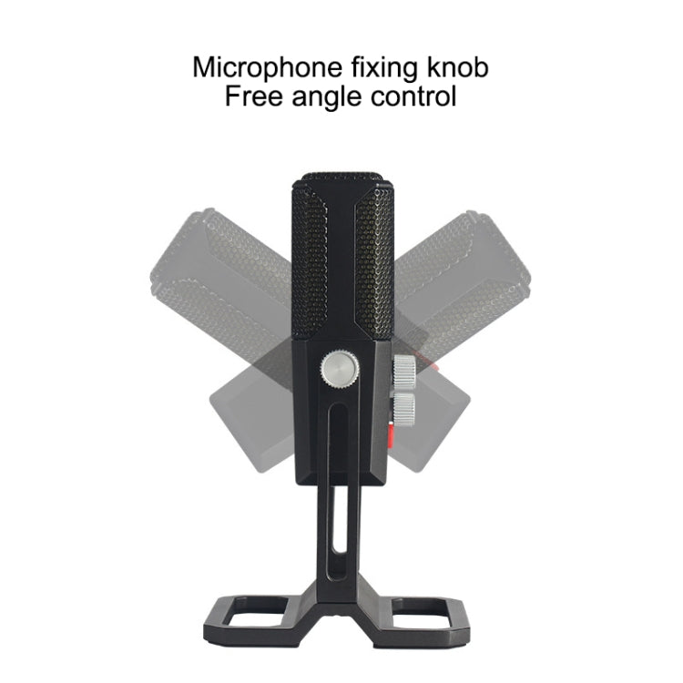BM959-PL Multi-directional Desktop Condenser Microphone Live Broadcast Equipment