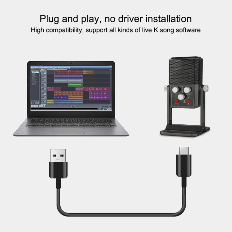 BM959-PL Multi-directional Desktop Condenser Microphone Live Broadcast Equipment