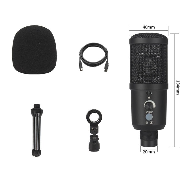 BM-66 Standard Version Heart-shaped Pointing USB Condenser Microphone Set