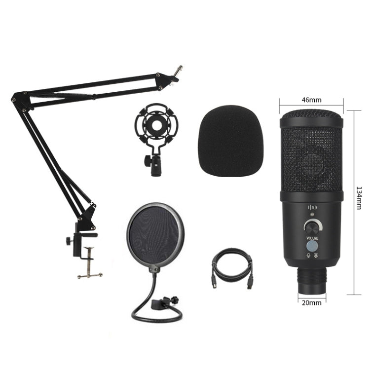 BM-66 Heart-shaped Pointing USB Condenser Microphone Cantilever Bracket Set