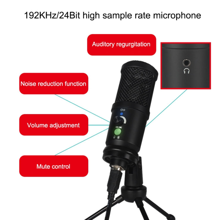 BM-66 Heart-shaped Pointing USB Condenser Microphone Cantilever Bracket Set
