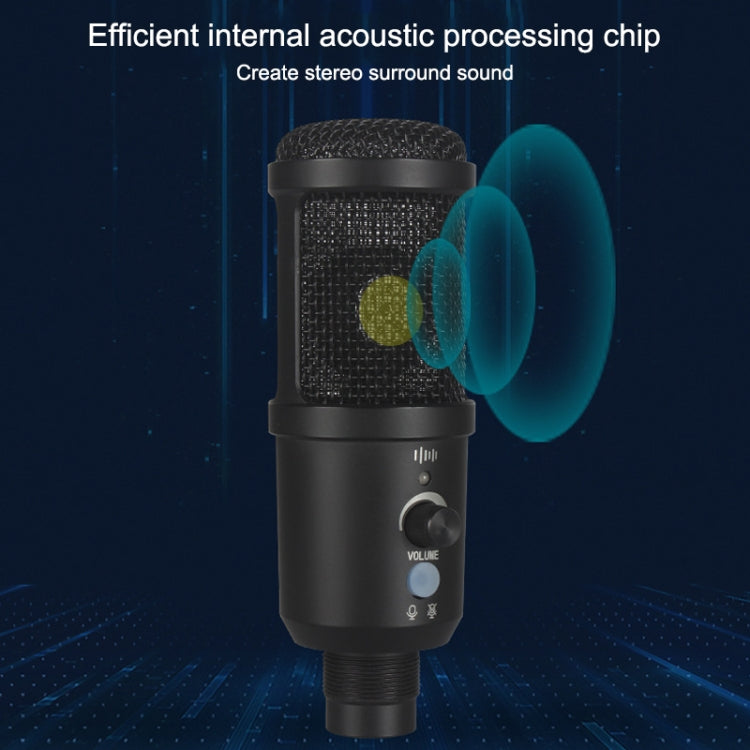 BM-66 Heart-shaped Pointing USB Condenser Microphone Cantilever Bracket Set