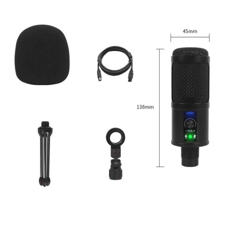 BM-65 Standard Version Heart-shaped Pointing USB Condenser Microphone Set