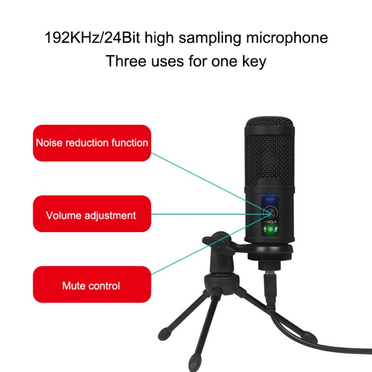 BM-65 Standard Version Heart-shaped Pointing USB Condenser Microphone Set