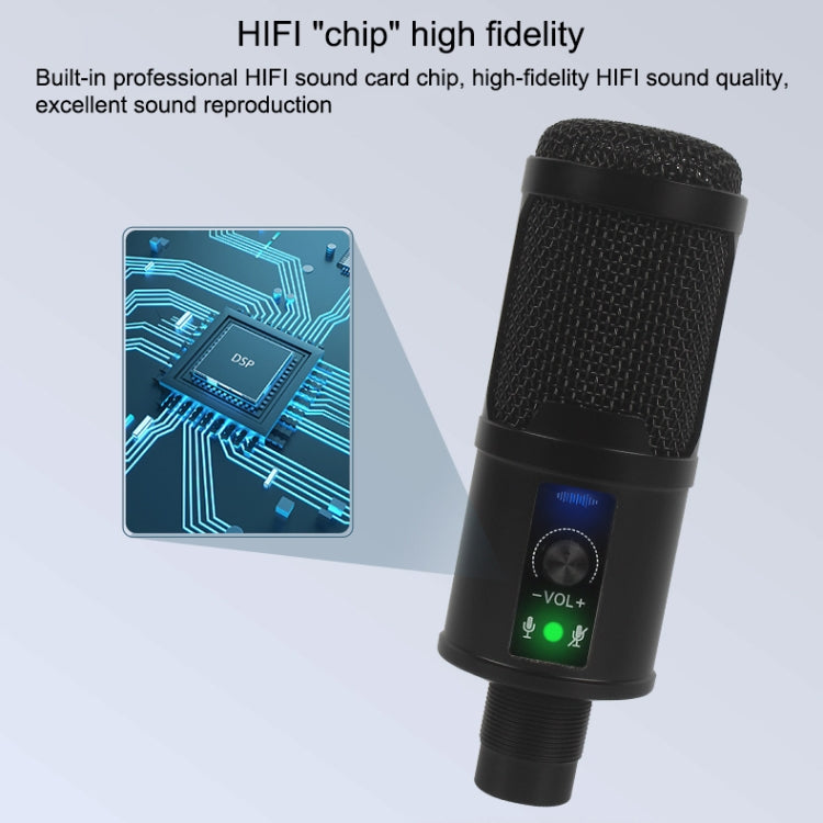BM-65 Standard Version Heart-shaped Pointing USB Condenser Microphone Set