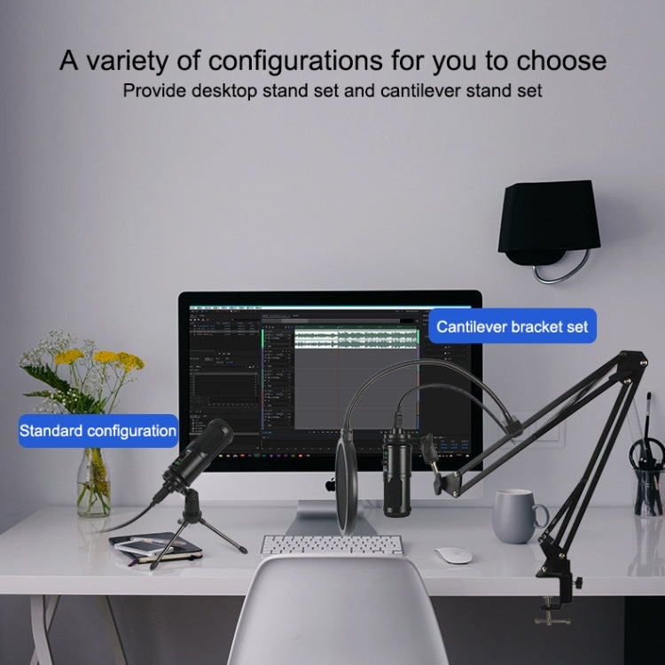 BM-65 Standard Version Heart-shaped Pointing USB Condenser Microphone Set
