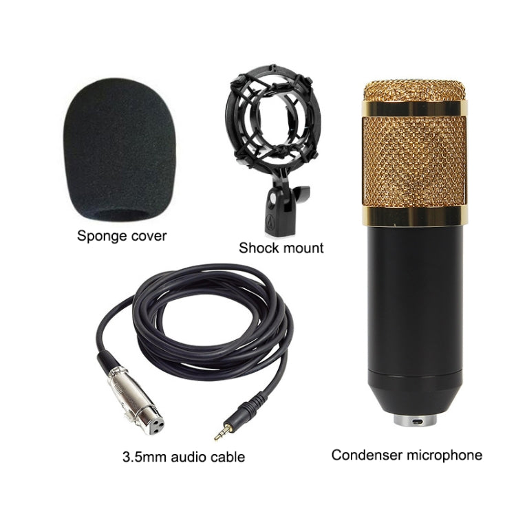 BM-800 Back Pole Large-diaphragm Condenser Microphone Set