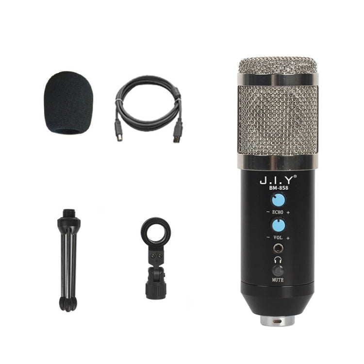 BM-858 Large-diaphragm Condenser Microphone Set (Silver)