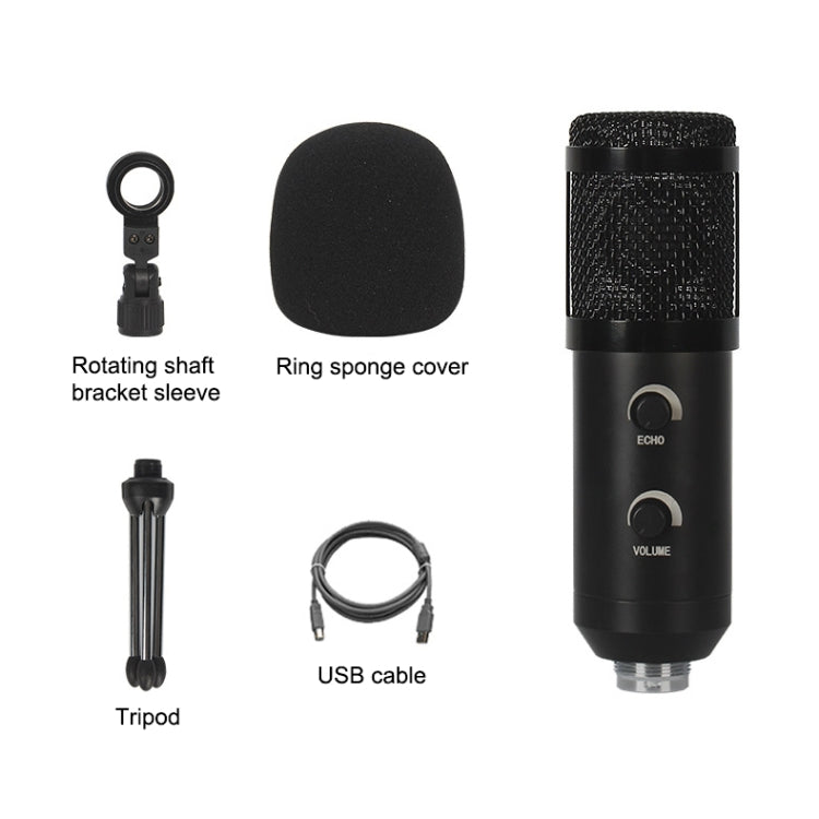 BM-838 Large-diaphragm USB Condenser Microphone Set