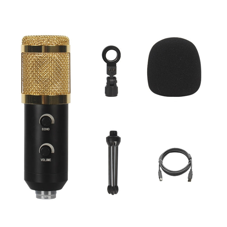 BM-838 Large-diaphragm USB Condenser Microphone Set