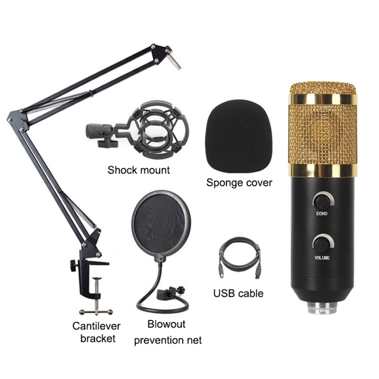 BM-838 Large-diaphragm USB Condenser Microphone Cantilever Bracket Set