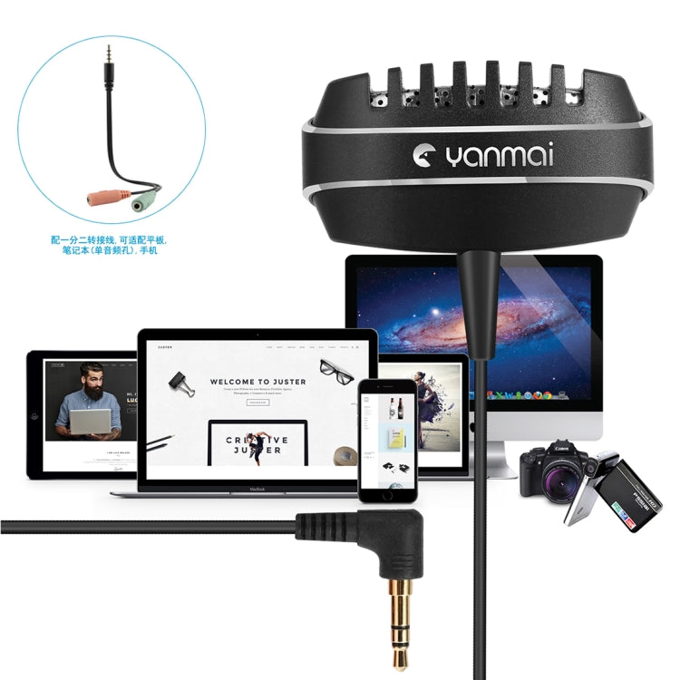 Yanmai R999 Recording Clip-on Lapel Mic Lavalier Omni-directional Dual Condenser Microphone, Compatible with PC/iPad/Android and other Smartphones, for Live Broadcast, Show, KTV, etc (Black)