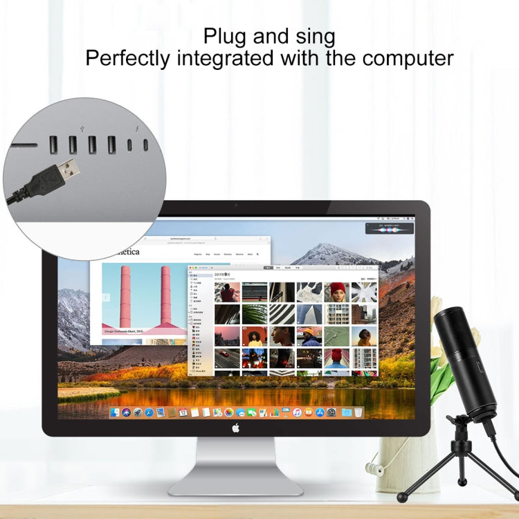 Yanmai Q9 Professional Condenser Sound Recording Microphone with Tripod Holder & USB Cable , Cable Length: 1.8m
