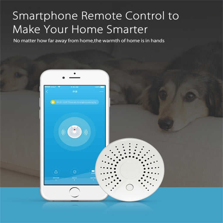 NEO NAS-SD01W WiFi Smoke Detector Sensor, Support Android / IOS systems