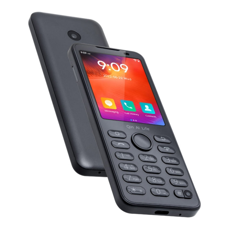 QIN F21 Pro, 3GB+32GB, 2.8 inch, Android 11 MTK6761 Quad-core up to 2.0GHz, 21 Keys, Network: 4G