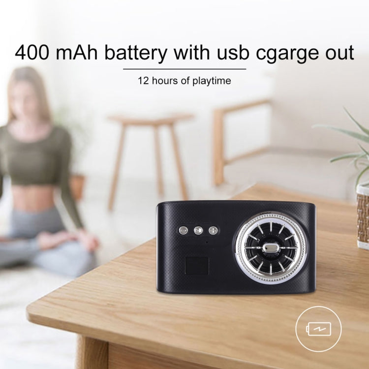LN-21 DC 5V Portable Wireless Speaker with Hands-free Calling, Support USB & TF Card (Black)