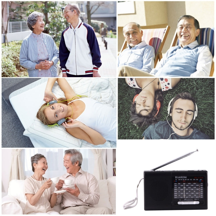 HAONING HN-315UA Portable FM AM SW (1-7) 9 Bands Channels Radio, Rechargeable Li-ion Battery, Support Micro TF Card / USB  / MP3 Player