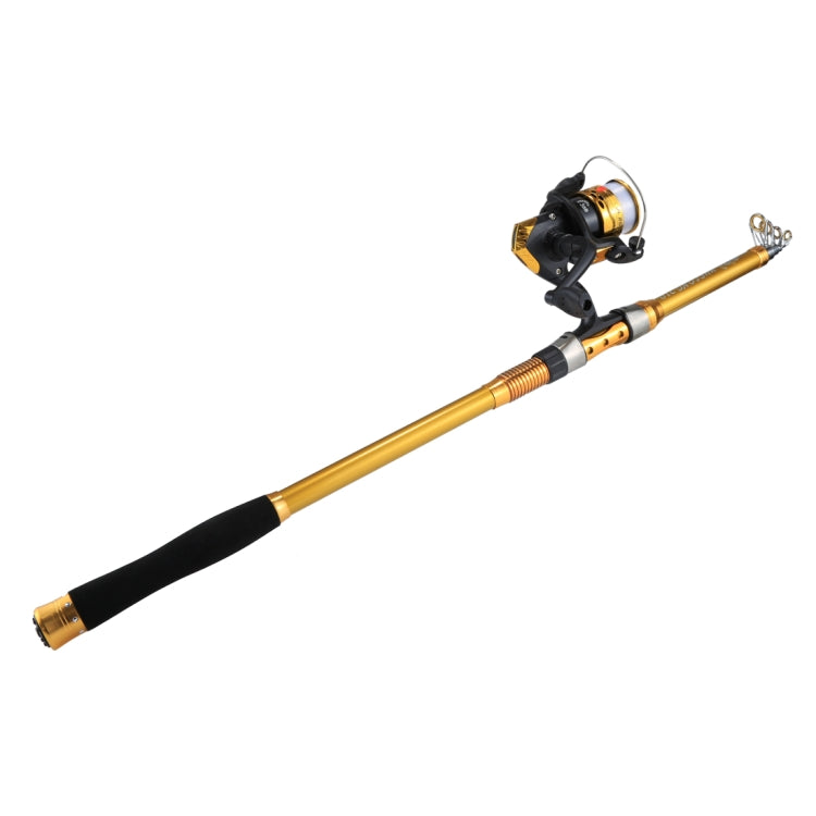 High Quality Fishing Supplies 4 Segments Fishing Rods + Reels Tool Set