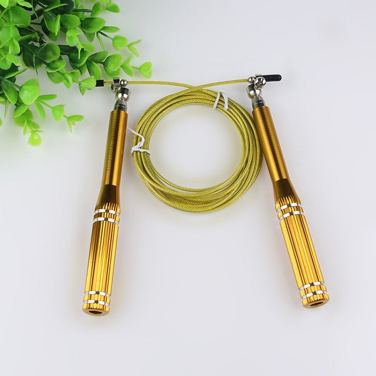 Metal Handle Bearing Steel Wire Rope Skipping Sports Fitness Jump Rope, Length: 3m, Random Color Delivery