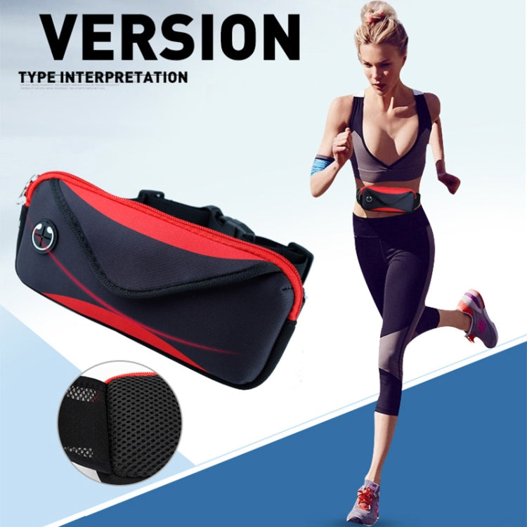 Multi-functional Sports Waterproof Waist Bag for Under 6 Inch Screen Phone, Size: 22x10cm