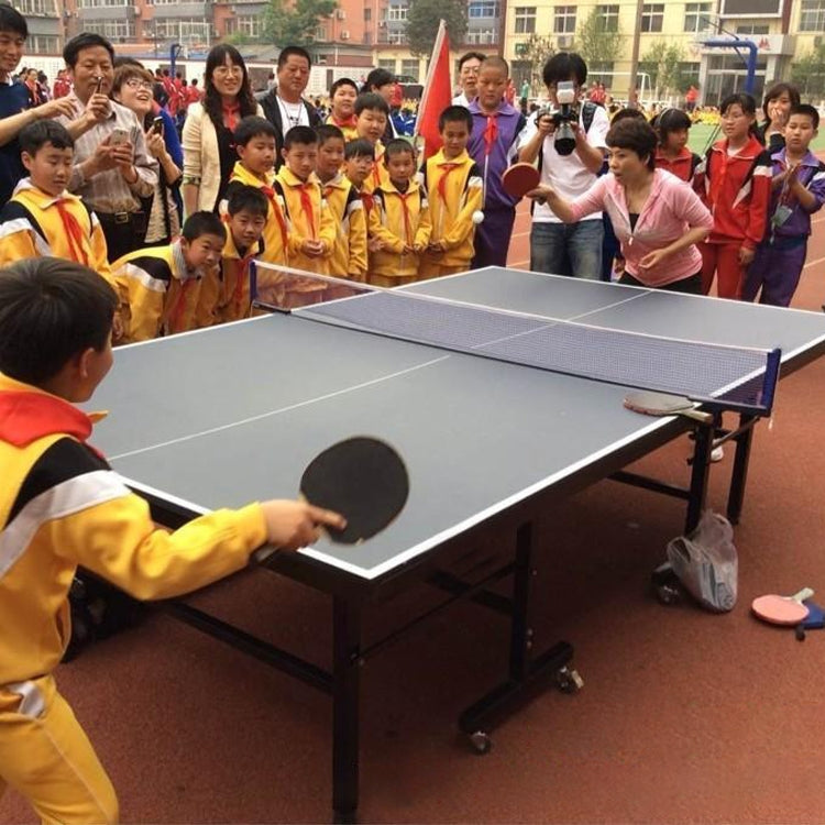 2 in 1 Thick Table Tennis Racket + Table Tennis Set