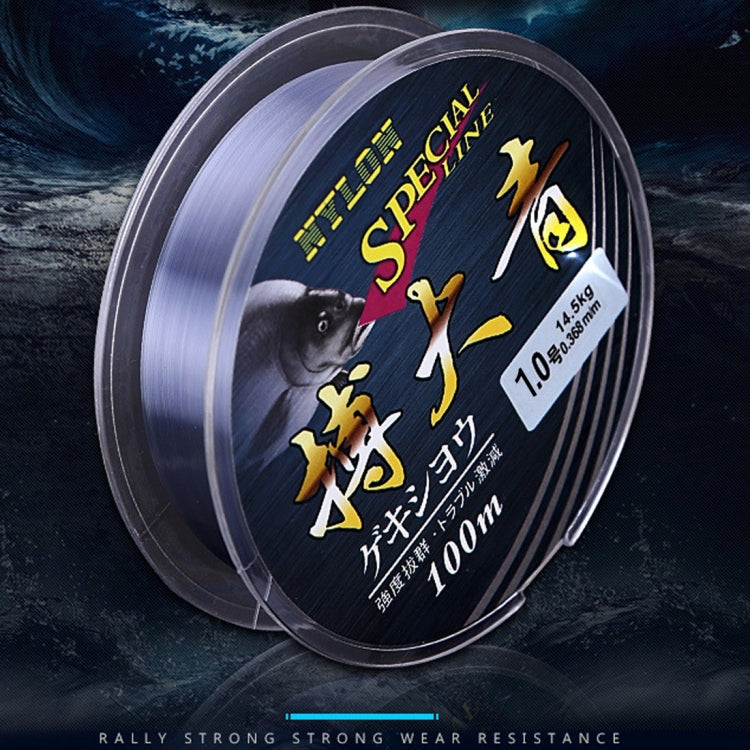 1.0C 0.165mm 1.43kg Nodules Tension 1.78kg Straight Line Tension 100m Strong Imported Raw Silk Nylon Fishing Line(Grey)