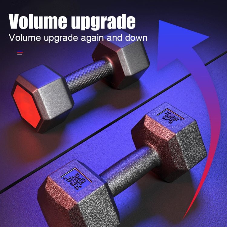 4kg A Pair Glue-Covered Hexagonal Dumbbell