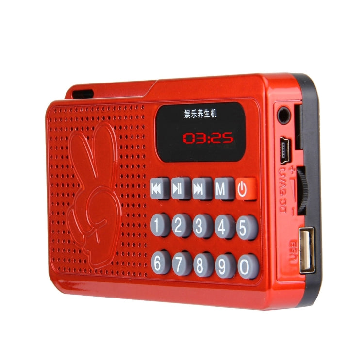 Portable Speaker for Elders, Supports TF Card & FM Radio