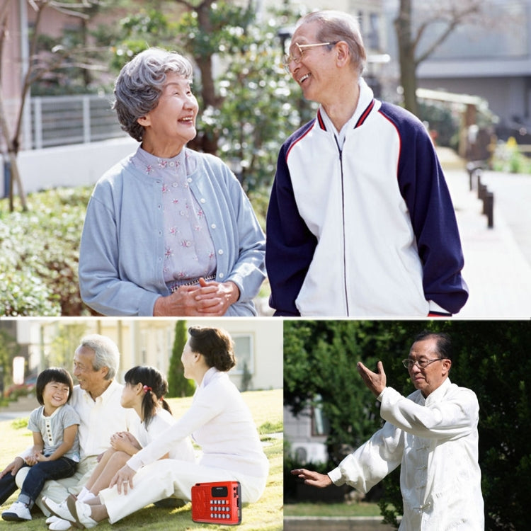 Portable Speaker for Elders, Supports TF Card & FM Radio