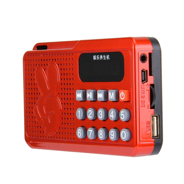 Portable Speaker for Elders, Supports TF Card & FM Radio