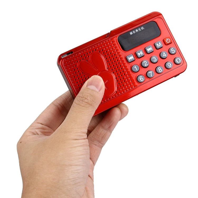 Portable Speaker for Elders, Supports TF Card & FM Radio
